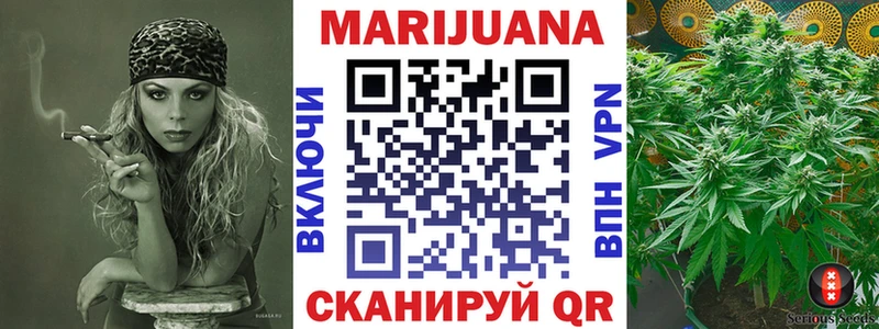 Конопля SATIVA & INDICA  где продают наркотики  mega ссылка  Щучье 